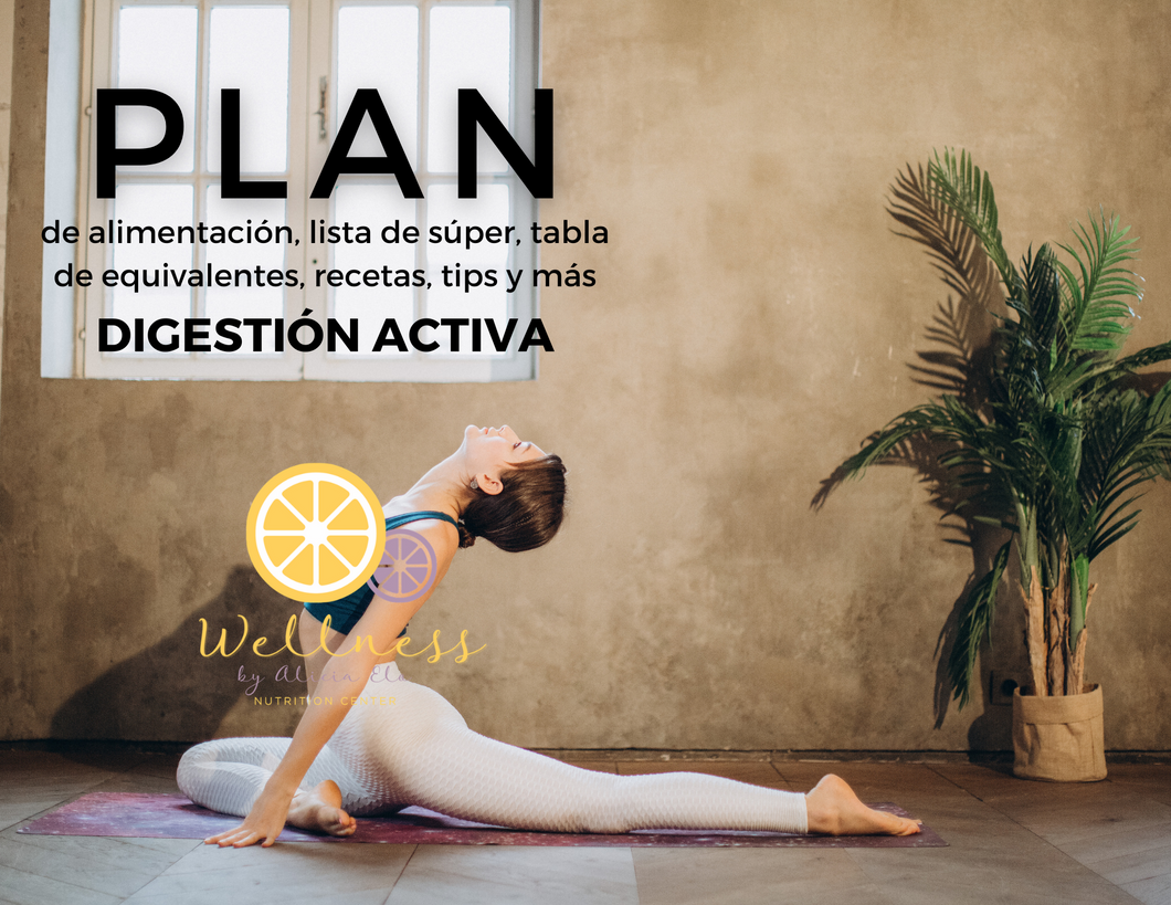 Plan de Alimentación: Digestión Activa